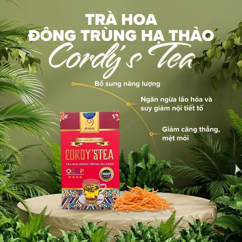 Cordy'sTea Trà hoa đông trùng hạ thảo 2.webp