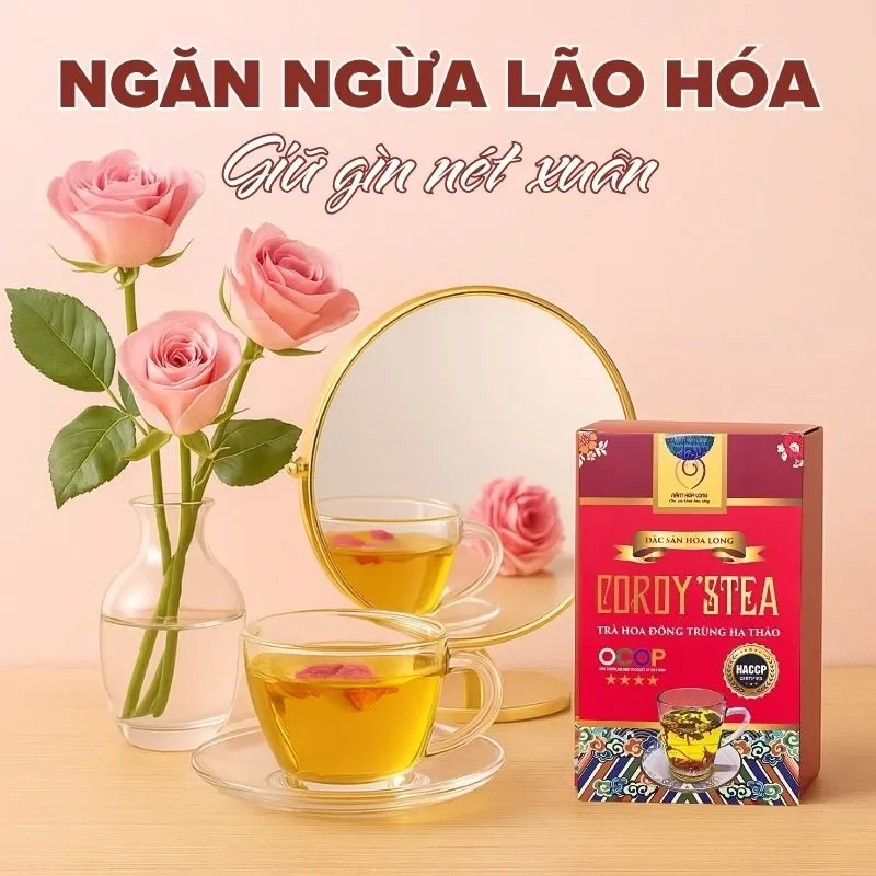 Cordy'sTea Trà hoa đông trùng hạ thảo 5.webp