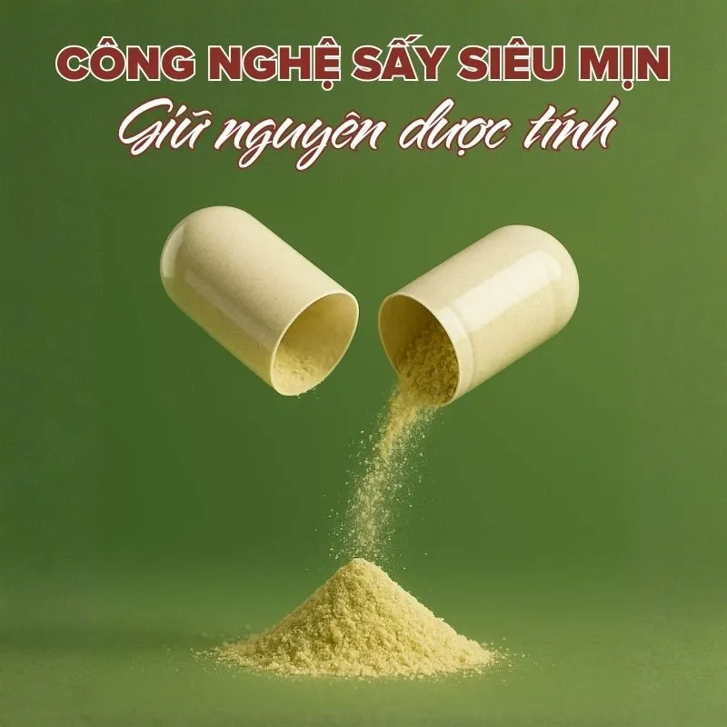 Cortab Viên nang đông trùng hạ thảo 4.webp