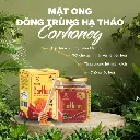 Corhoney Mật ong Đông trùng hạ thảo 2.webp