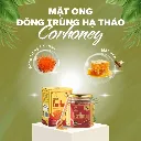 Corhoney Mật ong Đông trùng hạ thảo 3.webp