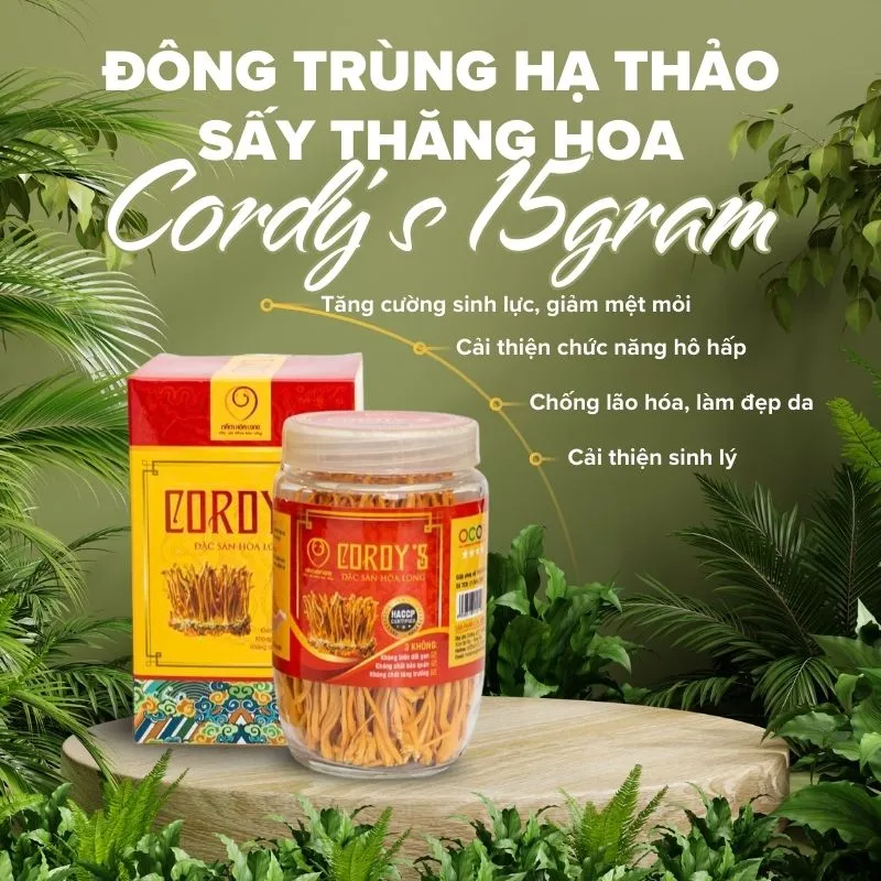 Cordy's Đông trùng hạ thảo sấy thăng hoa 2.webp