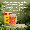 Cordy's Đông trùng hạ thảo sấy thăng hoa 2.webp