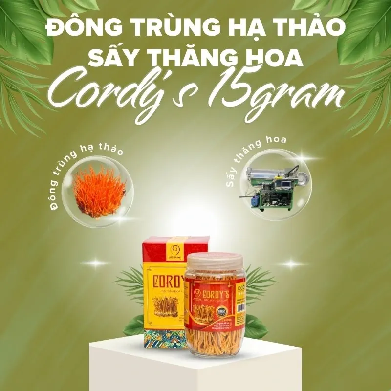 Cordy's Đông trùng hạ thảo sấy thăng hoa 3.webp