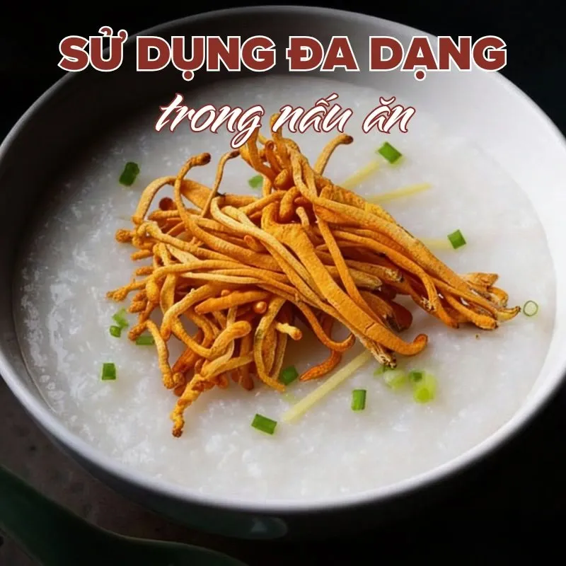 Cordy's Đông trùng hạ thảo sấy thăng hoa 5.webp