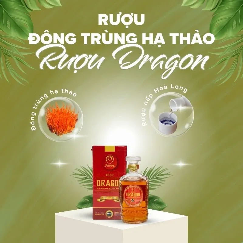 Rượu Dragon - Rượu Đông trùng hạ thảo Hoà Long 3.webp