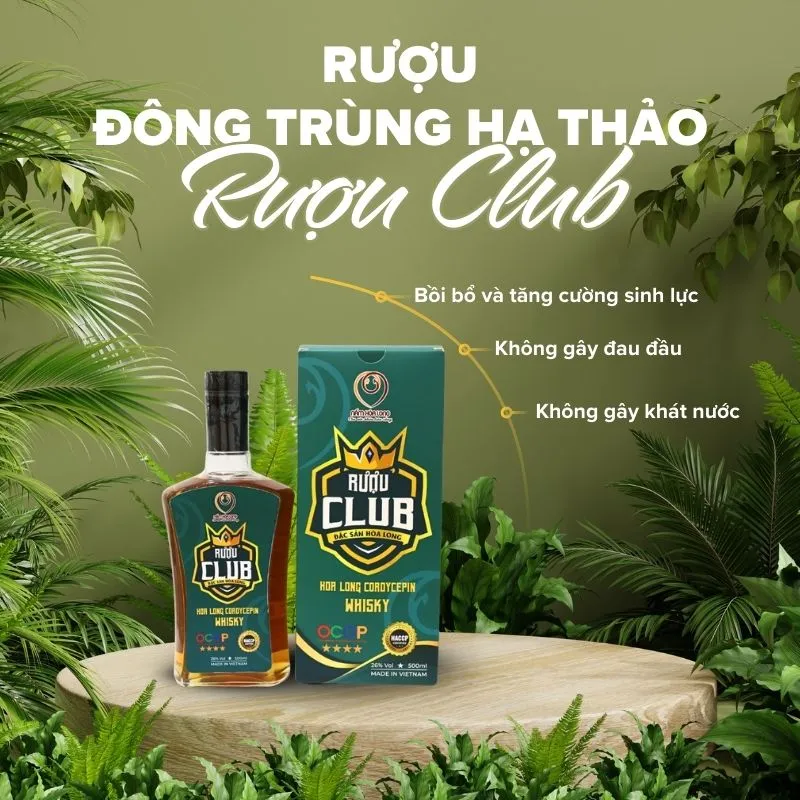Rượu Club - Rượu Đông trùng hạ thảo Hoà Long 2.webp