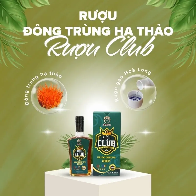 Rượu Club - Rượu Đông trùng hạ thảo Hoà Long 3.webp