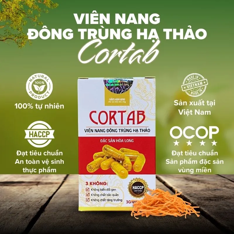 Cortab – Viên nang Đông trùng hạ thảo