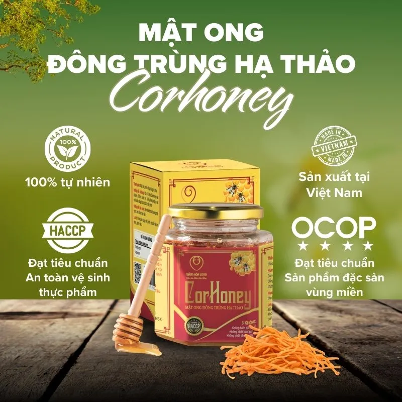 Corhoney - Mật ong Đông trùng hạ thảo