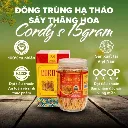 Cordy's 15 gram - Đông trùng hạ thảo sấy thăng hoa