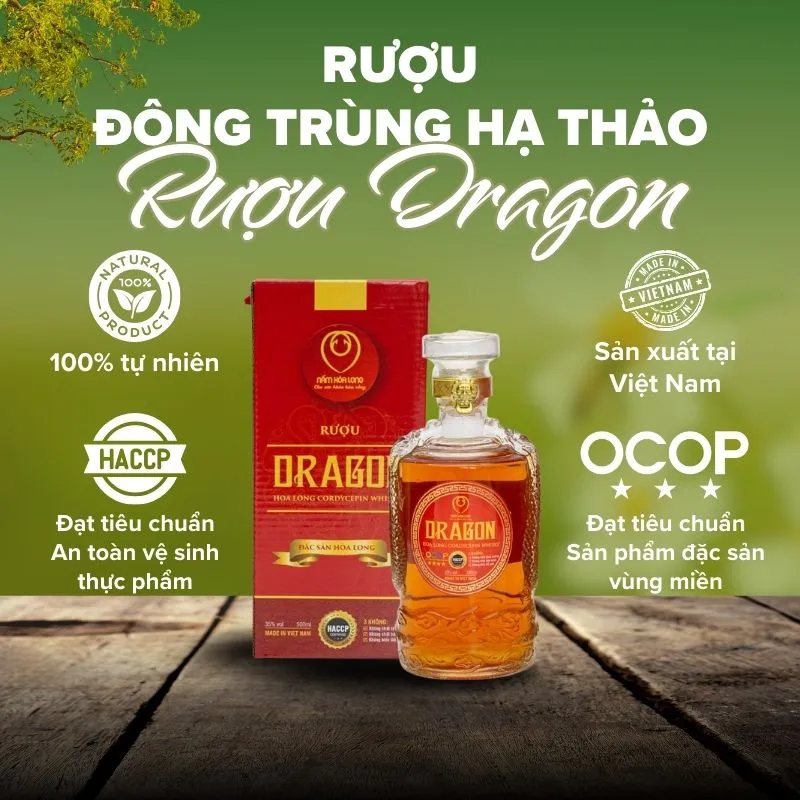 Rượu Dragon - Rượu Đông trùng hạ thảo Hoà Long