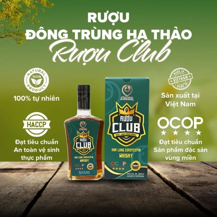Rượu Club - Rượu Đông trùng hạ thảo Hoà Long